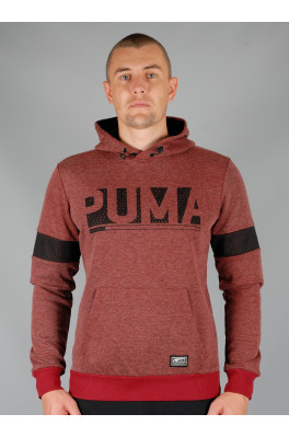Спортивная кофта Puma (Puma-0845-2)