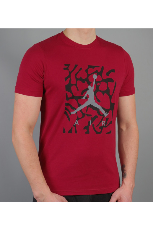 Мужская футболка Jordan (Jordan-5293-2)