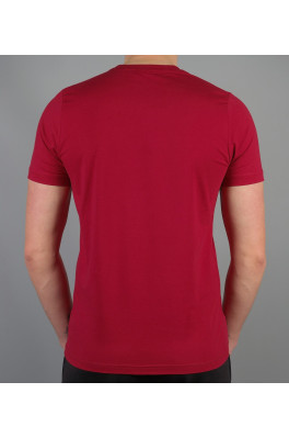 Мужская футболка Jordan (Jordan-5293-2)