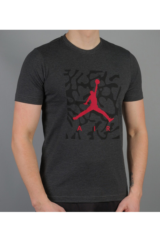 Мужская футболка Jordan (Jordan-5293-4)