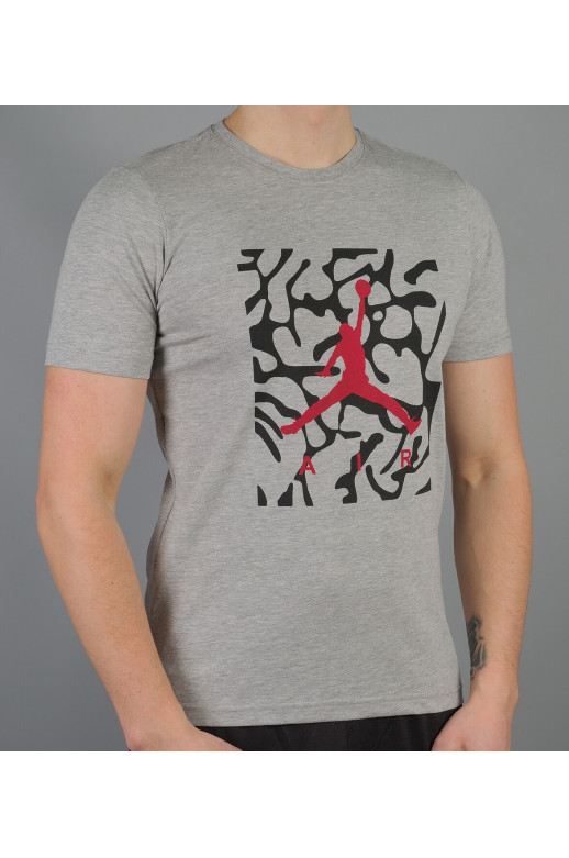 Мужская футболка Jordan (Jordan-5293-5)