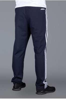 Спортивные штаны Adidas (Adidas-zzz-1341Bt-1)