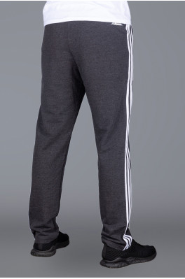 Спортивные штаны Adidas (Adidas-zzz-1341Bt-2)