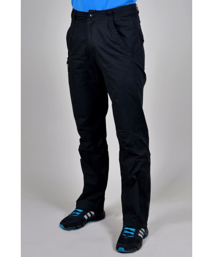 Брюки спортивные Adidas летние (750-1)