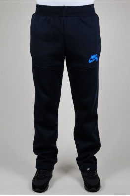 Зимние спортивные брюки Nike (SB-1)