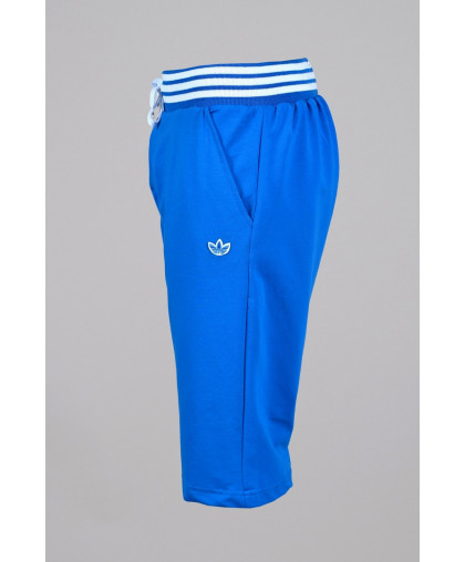 Бриджи Adidas. (3336-2)