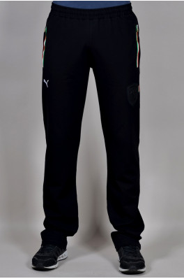 Спортивные брюки Puma (290-2)