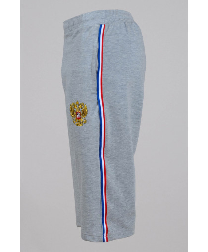 Бриджи Adidas (3338-2)